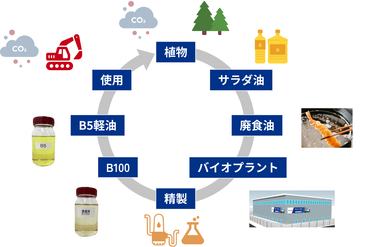 バイオ燃料とは?